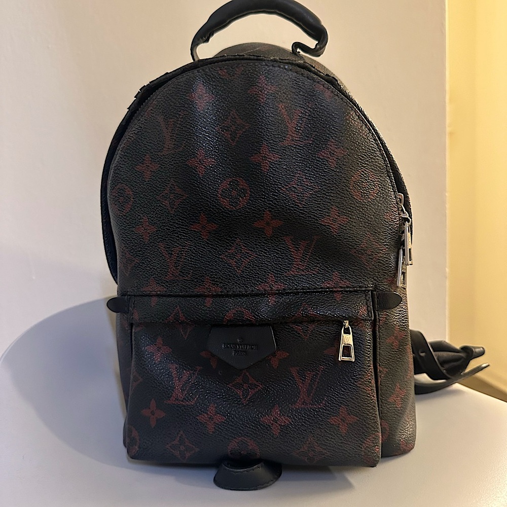 Louis Vuitton Backpack Palm Springs